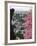 View from Gardens of the Generalife to the Albaicin District, Granada, Andalucia-Ruth Tomlinson-Framed Photographic Print