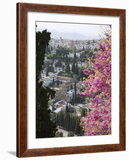 View from Gardens of the Generalife to the Albaicin District, Granada, Andalucia-Ruth Tomlinson-Framed Photographic Print