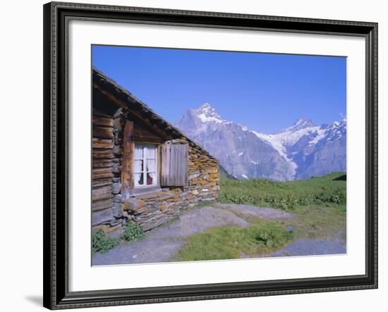 View from Grindelwald-Frist to Wetterhorn and Shreckhorn Mountains, Switzerland-Hans Peter Merten-Framed Photographic Print