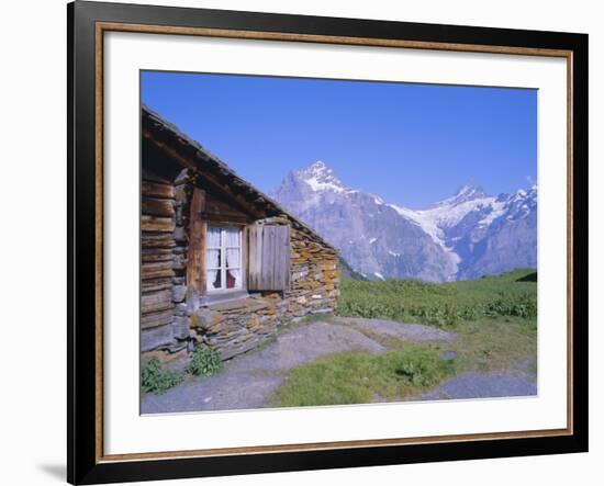 View from Grindelwald-Frist to Wetterhorn and Shreckhorn Mountains, Switzerland-Hans Peter Merten-Framed Photographic Print