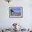 View from Grindelwald-Frist to Wetterhorn and Shreckhorn Mountains, Switzerland-Hans Peter Merten-Framed Photographic Print displayed on a wall