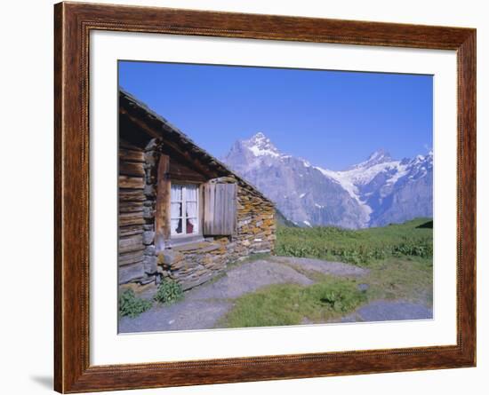 View from Grindelwald-Frist to Wetterhorn and Shreckhorn Mountains, Switzerland-Hans Peter Merten-Framed Photographic Print