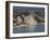 View From Helicopter of Marina Baie Des Anges, Villeneuve Loubet, Provence, France-Sergio Pitamitz-Framed Photographic Print