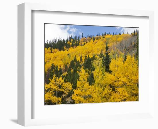 View from Highway 34, Rocky Mountain National Park, Colorado, USA-Jamie & Judy Wild-Framed Photographic Print