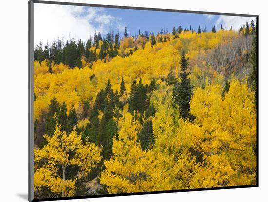View from Highway 34, Rocky Mountain National Park, Colorado, USA-Jamie & Judy Wild-Mounted Photographic Print