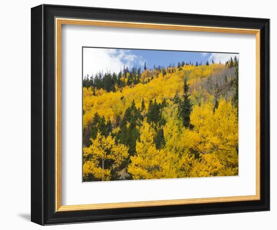 View from Highway 34, Rocky Mountain National Park, Colorado, USA-Jamie & Judy Wild-Framed Photographic Print