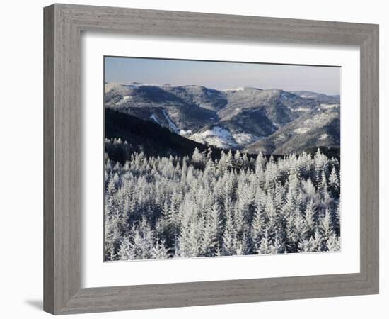 View from Hohlohturm Tower over Northern Black Forest-Marcus Lange-Framed Photographic Print