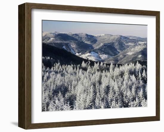 View from Hohlohturm Tower over Northern Black Forest-Marcus Lange-Framed Photographic Print