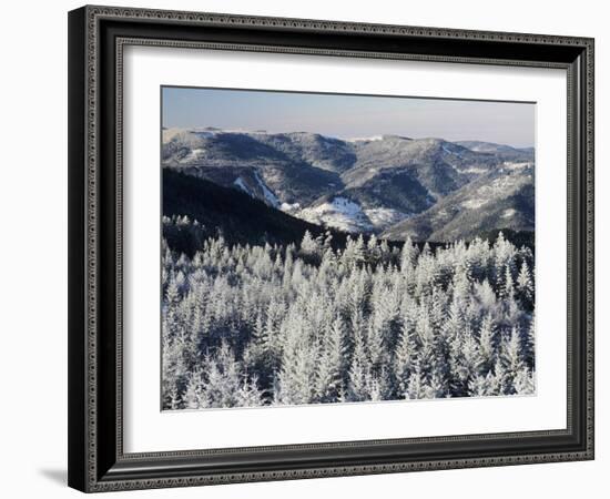 View from Hohlohturm Tower over Northern Black Forest-Marcus Lange-Framed Photographic Print