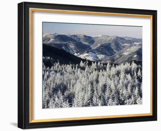 View from Hohlohturm Tower over Northern Black Forest-Marcus Lange-Framed Photographic Print