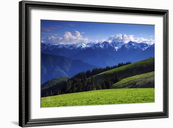 View from Hurricane Ridge, Olympic National Park, Washington, USA-Michel Hersen-Framed Photographic Print