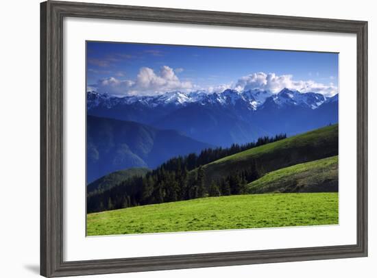 View from Hurricane Ridge, Olympic National Park, Washington, USA-Michel Hersen-Framed Photographic Print