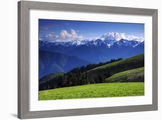 View from Hurricane Ridge, Olympic National Park, Washington, USA-Michel Hersen-Framed Photographic Print