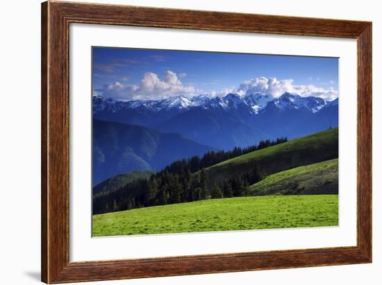 View from Hurricane Ridge, Olympic National Park, Washington, USA-Michel Hersen-Framed Photographic Print