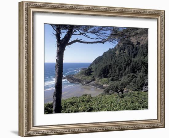View from Interpretive Center, Cape Cove, Cape Perpetua Scenic Area, Oregon, USA-Connie Ricca-Framed Photographic Print