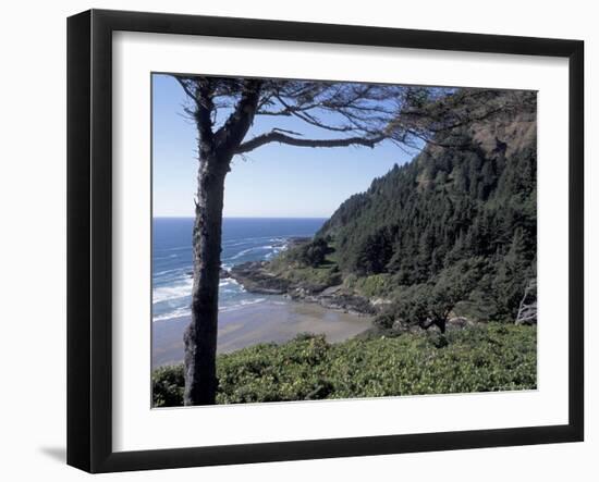 View from Interpretive Center, Cape Cove, Cape Perpetua Scenic Area, Oregon, USA-Connie Ricca-Framed Photographic Print