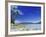 View from Kecil (Little) Towards Besar (Big), the Two Perhentian Islands, Terengganu, Malaysia-Robert Francis-Framed Photographic Print