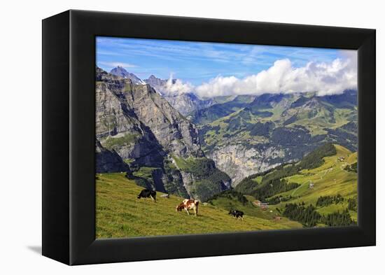 View from Kleine Scheidegg to Murren and Lauterbrunnen Valley, Grindelwald, Bernese Oberland, Switz-Hans-Peter Merten-Framed Premier Image Canvas