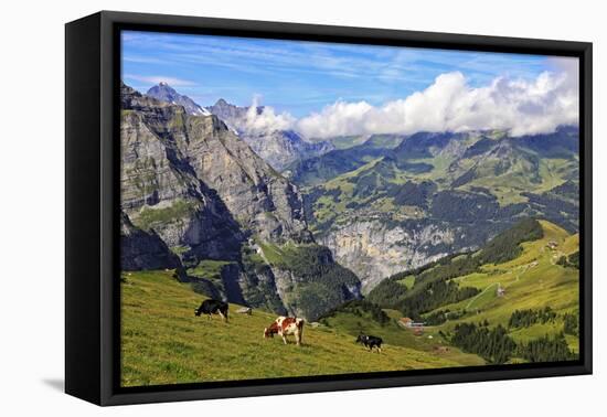 View from Kleine Scheidegg to Murren and Lauterbrunnen Valley, Grindelwald, Bernese Oberland, Switz-Hans-Peter Merten-Framed Premier Image Canvas