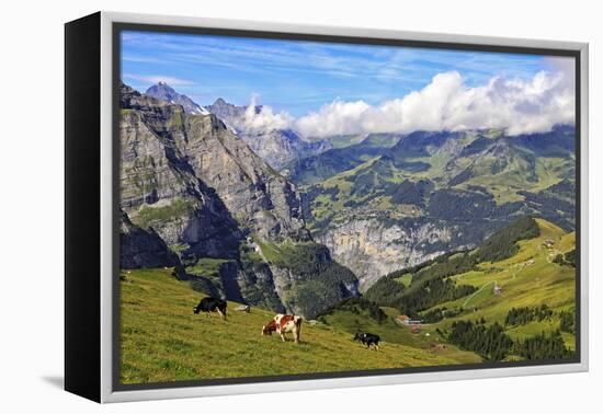 View from Kleine Scheidegg to Murren and Lauterbrunnen Valley, Grindelwald, Bernese Oberland, Switz-Hans-Peter Merten-Framed Premier Image Canvas