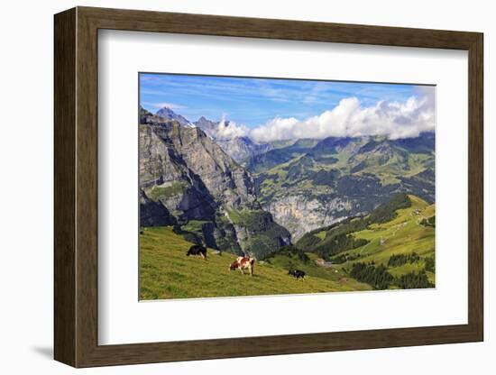 View from Kleine Scheidegg to Murren and Lauterbrunnen Valley, Grindelwald, Bernese Oberland, Switz-Hans-Peter Merten-Framed Photographic Print