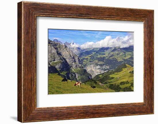 View from Kleine Scheidegg to Murren and Lauterbrunnen Valley, Grindelwald, Bernese Oberland, Switz-Hans-Peter Merten-Framed Photographic Print