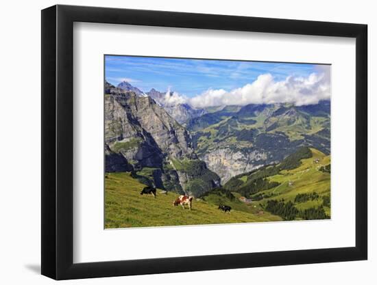 View from Kleine Scheidegg to Murren and Lauterbrunnen Valley, Grindelwald, Bernese Oberland, Switz-Hans-Peter Merten-Framed Photographic Print