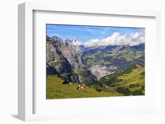 View from Kleine Scheidegg to Murren and Lauterbrunnen Valley, Grindelwald, Bernese Oberland, Switz-Hans-Peter Merten-Framed Photographic Print