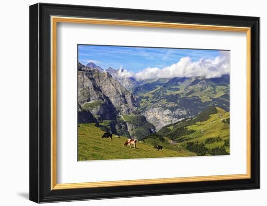 View from Kleine Scheidegg to Murren and Lauterbrunnen Valley, Grindelwald, Bernese Oberland, Switz-Hans-Peter Merten-Framed Photographic Print