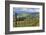 View from Knights Gambit Vineyard, Dundee, Yamhill County, Oregon, USA-Janis Miglavs-Framed Photographic Print