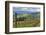 View from Knights Gambit Vineyard, Dundee, Yamhill County, Oregon, USA-Janis Miglavs-Framed Photographic Print