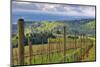 View from Knights Gambit Vineyard, Dundee, Yamhill County, Oregon, USA-Janis Miglavs-Mounted Photographic Print