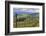 View from Knights Gambit Vineyard, Dundee, Yamhill County, Oregon, USA-Janis Miglavs-Framed Photographic Print