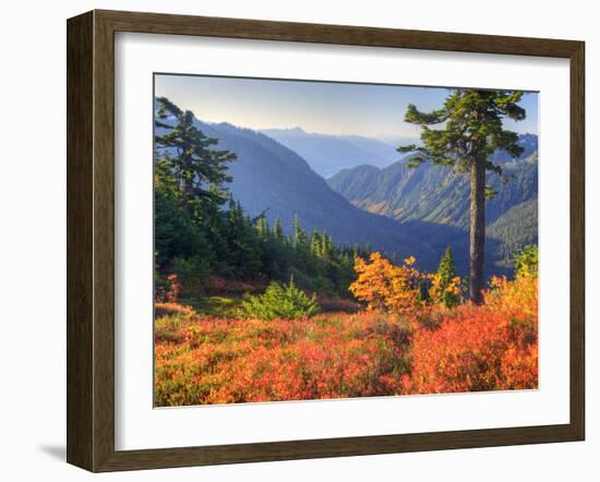 View from Kulshan Ridge, Heather Meadows Recreation Area, Washington, Usa-Jamie & Judy Wild-Framed Photographic Print
