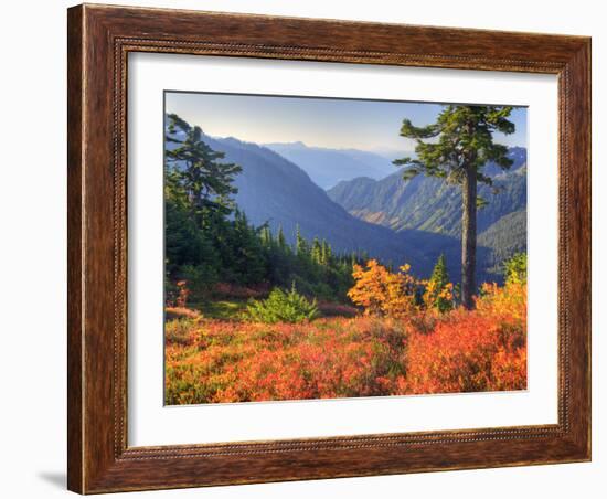 View from Kulshan Ridge, Heather Meadows Recreation Area, Washington, Usa-Jamie & Judy Wild-Framed Photographic Print