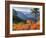 View from Kulshan Ridge, Heather Meadows Recreation Area, Washington, Usa-Jamie & Judy Wild-Framed Photographic Print