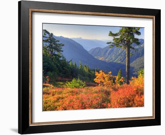 View from Kulshan Ridge, Heather Meadows Recreation Area, Washington, Usa-Jamie & Judy Wild-Framed Photographic Print