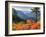 View from Kulshan Ridge, Heather Meadows Recreation Area, Washington, Usa-Jamie & Judy Wild-Framed Photographic Print