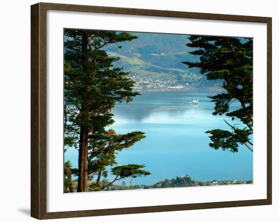 View From Larnach Castle, Oamaru, New Zealand-William Sutton-Framed Photographic Print