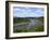 View from Loreley to St. Goarshausen and the River Rhine, Rhine Valley, Rhineland-Palatinate, Germa-Hans Peter Merten-Framed Photographic Print