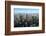 View from Maintower to Financial District, Frankfurt am Main, Hesse, Germany, Europe-Hans-Peter Merten-Framed Photographic Print