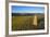 View from Mam Tor Hollins Cross, Derbyshire, England, United Kingdom, Europe-Frank Fell-Framed Photographic Print