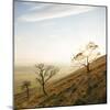 View from Mam Tor, Peak District, Derbyshire, England, United Kingdom, Europe-Ben Pipe-Mounted Photographic Print