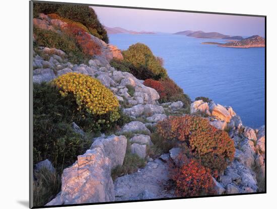 View from Mana Island South Along the Islands of Kornati National Park, Croatia, May 2009-Popp-Hackner-Mounted Photographic Print