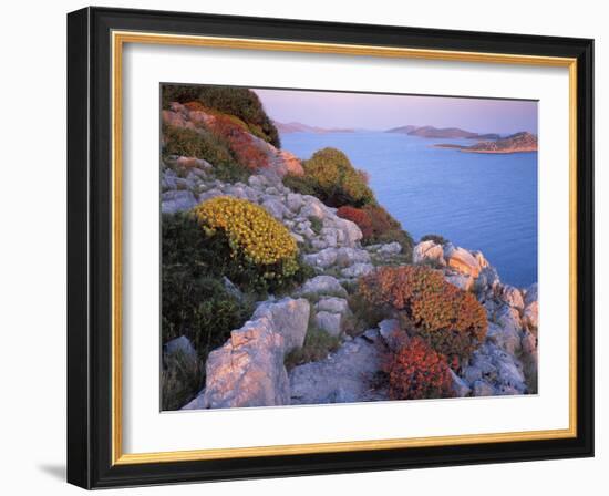 View from Mana Island South Along the Islands of Kornati National Park, Croatia, May 2009-Popp-Hackner-Framed Photographic Print