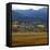 View from Moraine Park, Rmnp,USA-Anna Miller-Framed Premier Image Canvas
