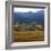 View from Moraine Park, Rmnp,USA-Anna Miller-Framed Photographic Print