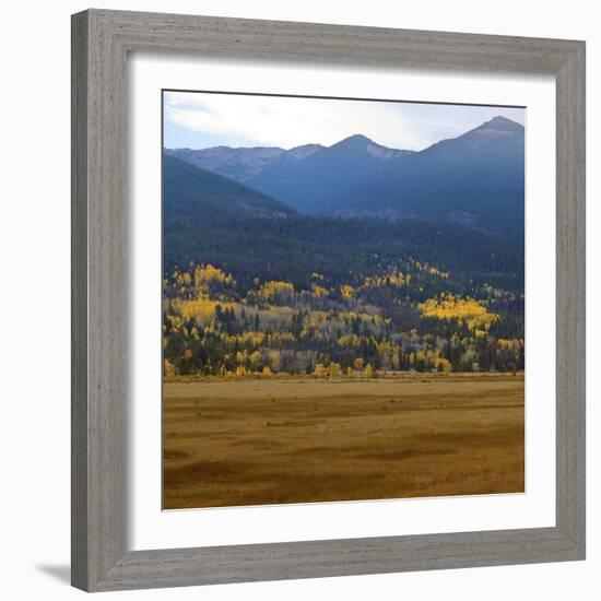 View from Moraine Park, Rmnp,USA-Anna Miller-Framed Photographic Print