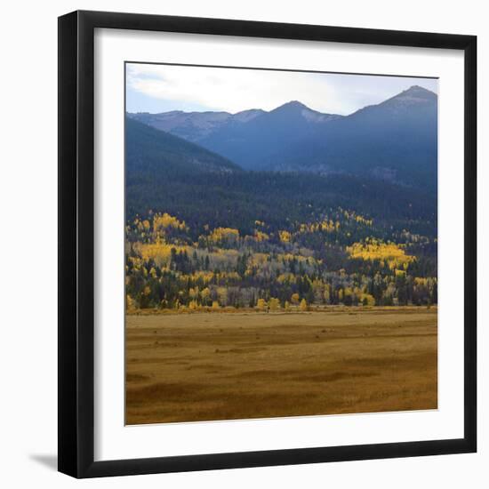 View from Moraine Park, Rmnp,USA-Anna Miller-Framed Photographic Print