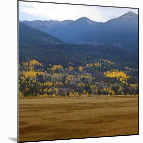View from Moraine Park, Rmnp,USA-Anna Miller-Mounted Photographic Print